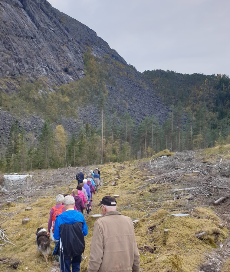 gamlevegen til hernes